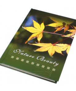 Záznamová kniha A5 100 listov linajková