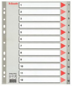 Plastový rozraďovač Esselte 1-12 maxi sivý