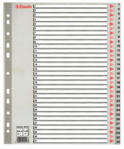 Plastový rozraďovač Esselte 1-31 maxi sivý