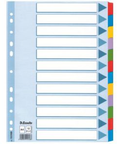 Kartónový rozraďovač Esselte Mylar 12-dielny