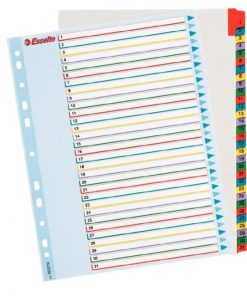 Kartónový rozraďovač Esselte ProjectPro 1-31 maxi