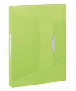 Plastový box s gumičkou Esselte VIVIDA zelený