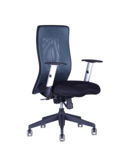 Kancelárska stolička CALYPSO XL BP antracitová