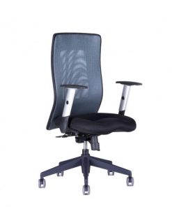 Kancelárska stolička CALYPSO GRAND BP antracit